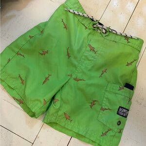 Green Shark Print Men's Shorts